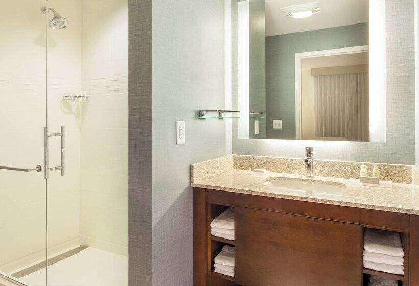 فندق Residence Inn By Marriott Orlando Downtown