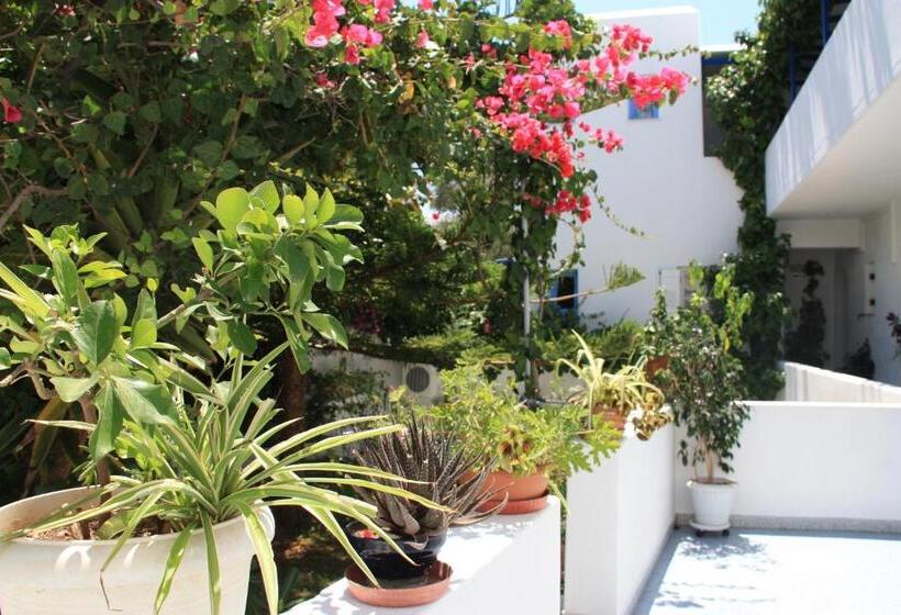 Loukia Apartments & Studios