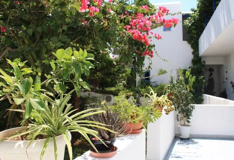 Loukia Apartments & Studios