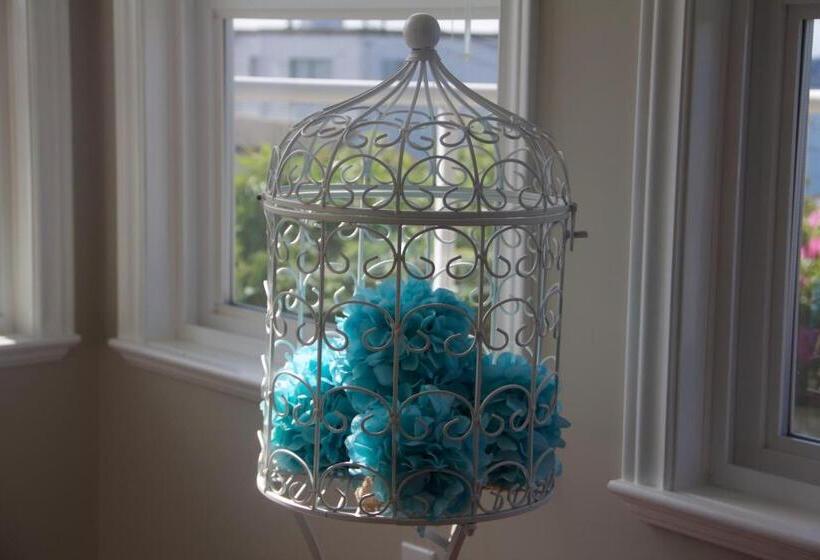 Bed and Breakfast Star Of The Sea Guest House