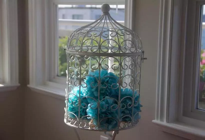 Bed & Breakfast Star Of The Sea Guest House