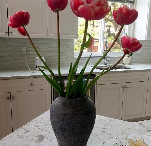 Bed and Breakfast Star Of The Sea Guest House