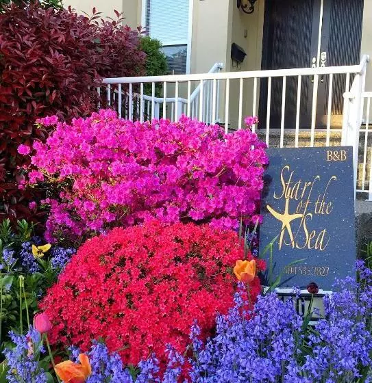 Bed & Breakfast Star Of The Sea Guest House