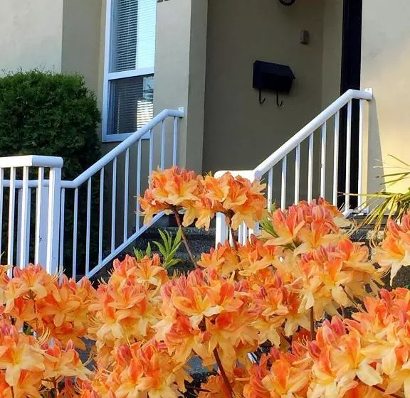 Bed & Breakfast Star Of The Sea Guest House