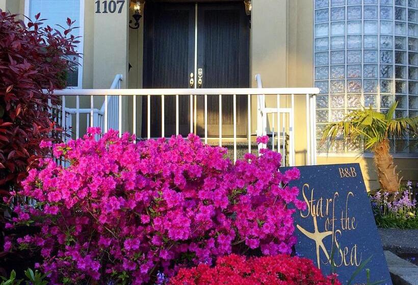 Bed and Breakfast Star Of The Sea Guest House