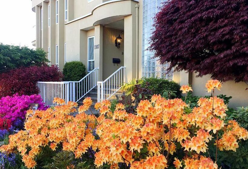 Bed and Breakfast Star Of The Sea Guest House