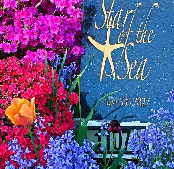 Bed and Breakfast Star Of The Sea Guest House