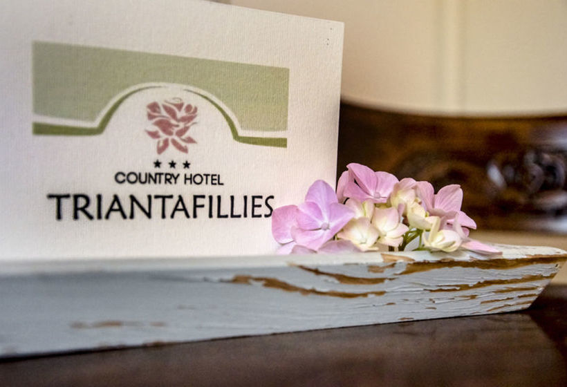 فندق Triantafillies Guesthouse