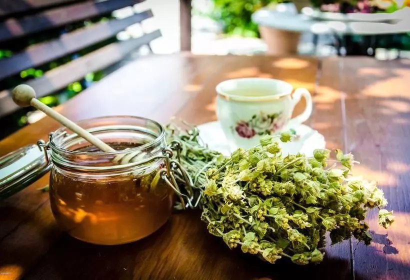 호텔 Triantafillies Guesthouse