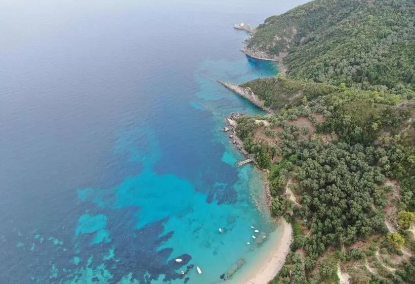 Dolphin Appartements