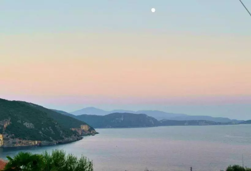 Dolphin Appartements