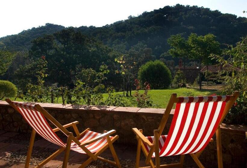 ホテル Molino Rio Alajar