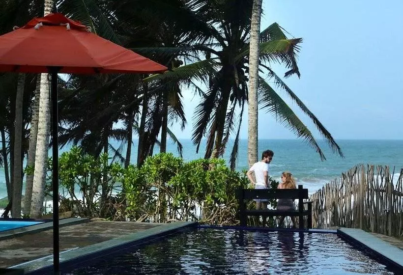 Hotel Turtle Bay Boutique