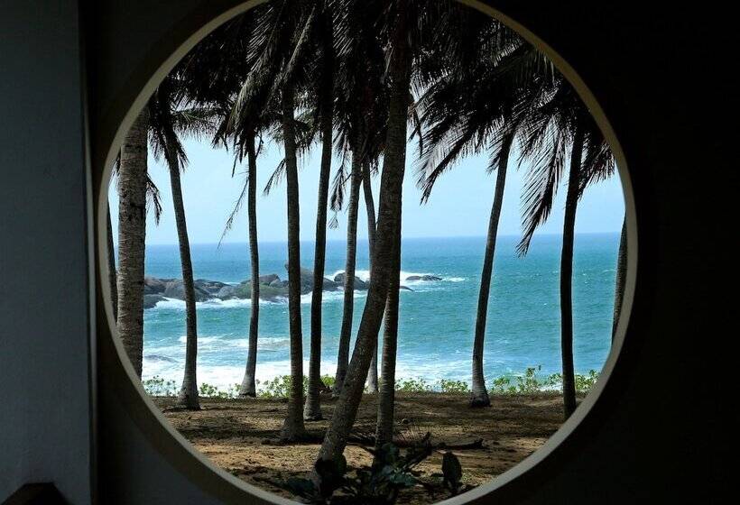 Отель Turtle Bay Boutique