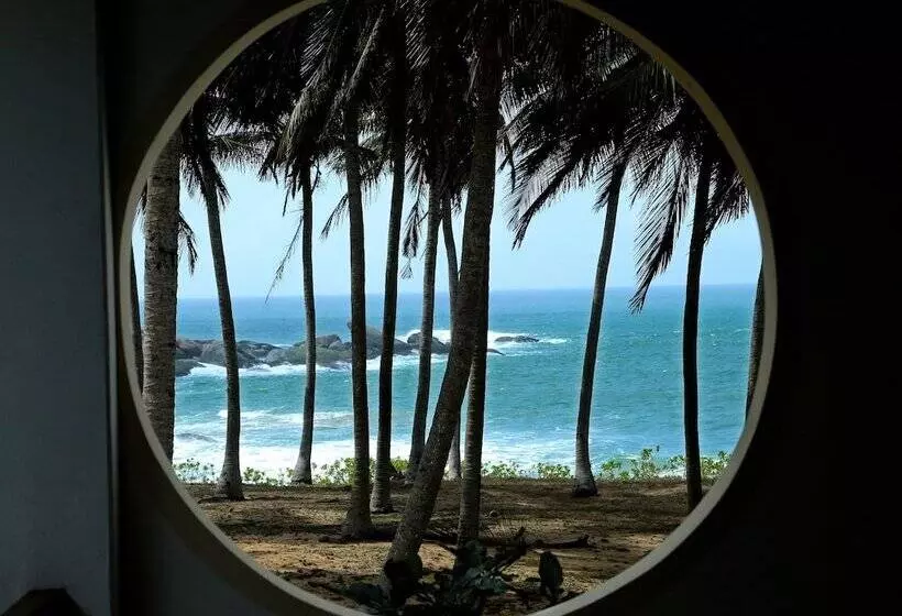 Hotel Turtle Bay Boutique