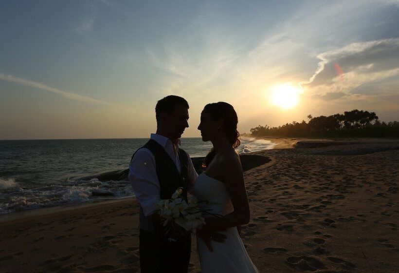 Отель Turtle Bay Boutique