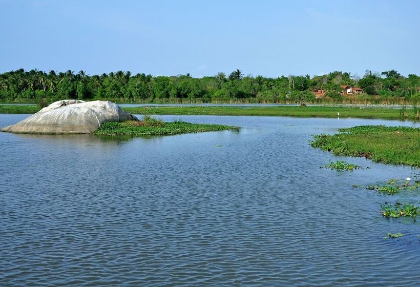 Отель Turtle Bay Boutique