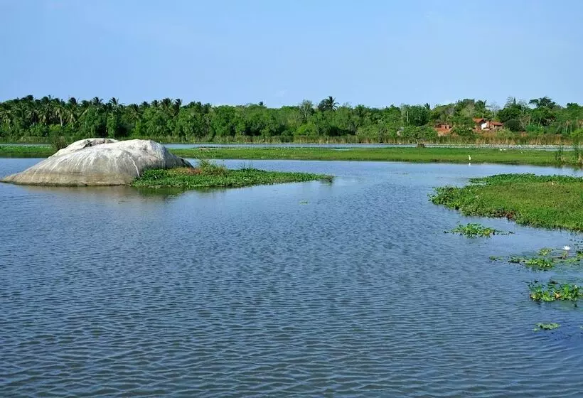 Hotel Turtle Bay Boutique