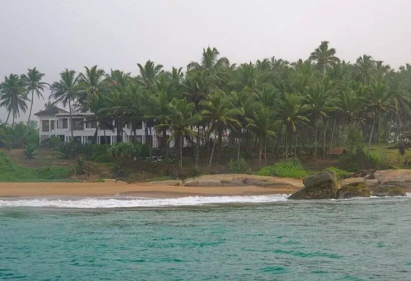 Hotel Turtle Bay Boutique