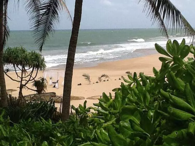 Hotel Turtle Bay Boutique