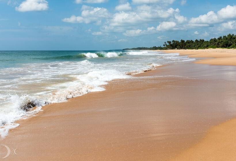 Отель Turtle Bay Boutique