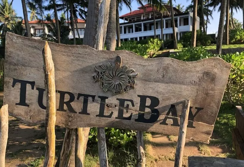 Hotel Turtle Bay Boutique