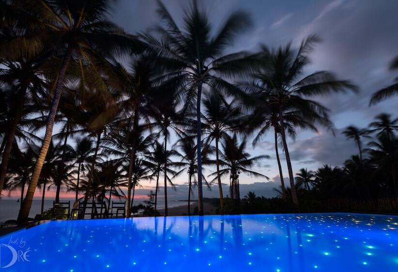 Отель Turtle Bay Boutique