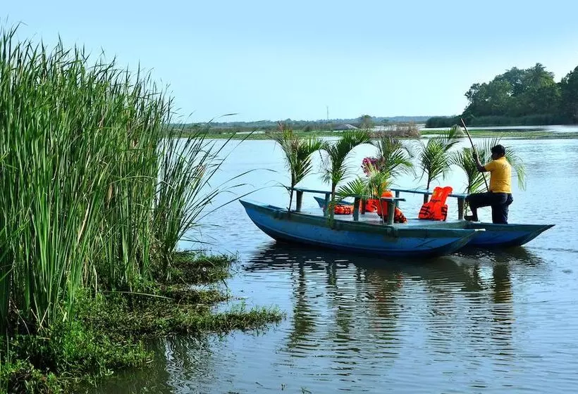 Hotel Turtle Bay Boutique