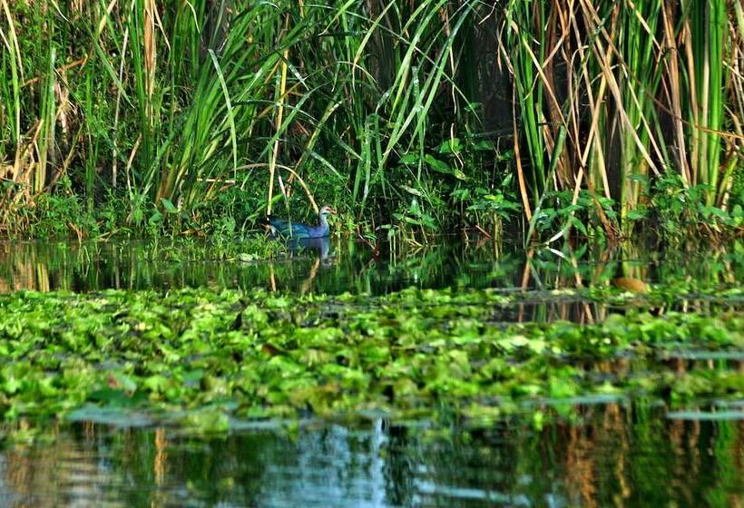 Отель Turtle Bay Boutique