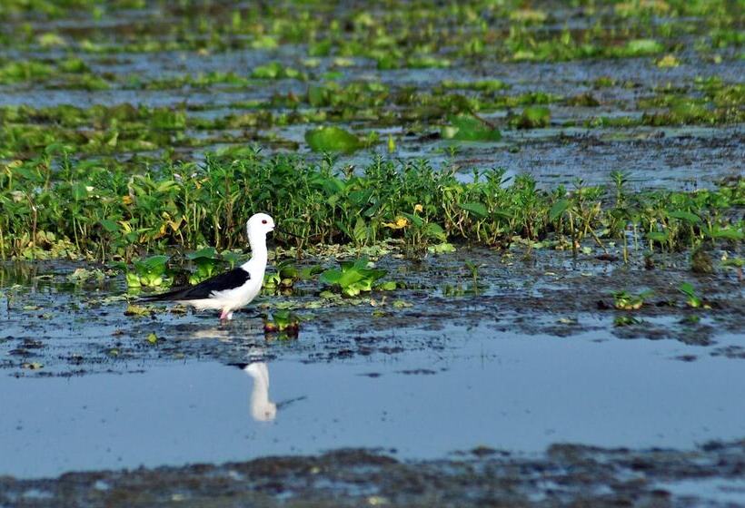 Отель Turtle Bay Boutique