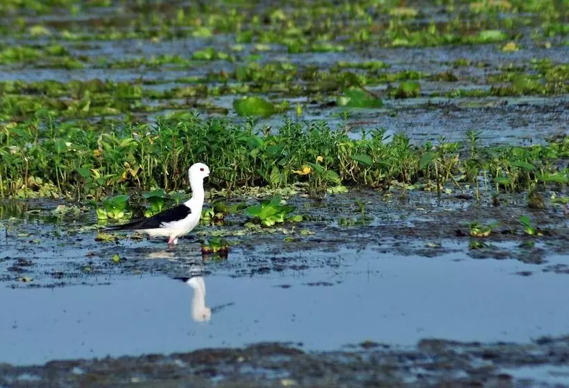 Hotel Turtle Bay Boutique