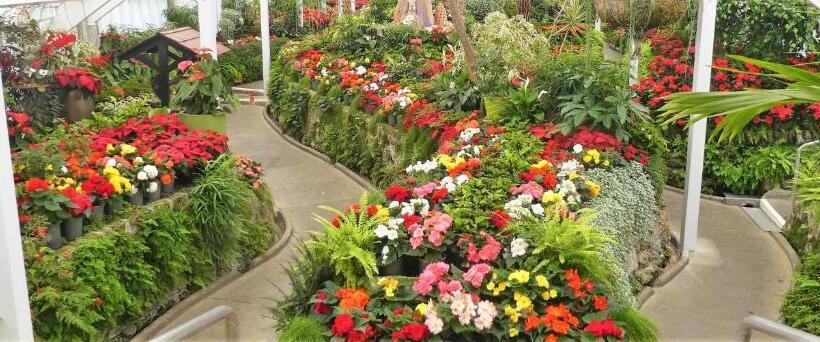 فندق على الطريق Bk's Magnolia Motor Lodge