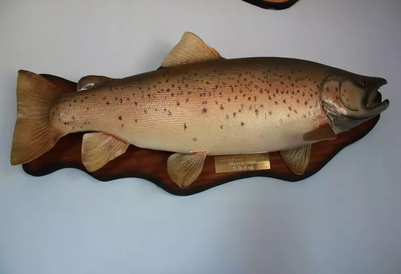 ペンション Lakeview Small Studio