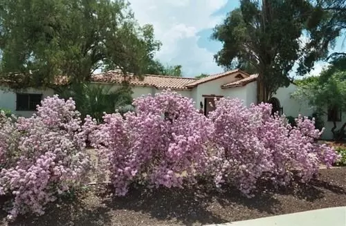 ベッドアンドブレックファースト Sam Hughes Inn