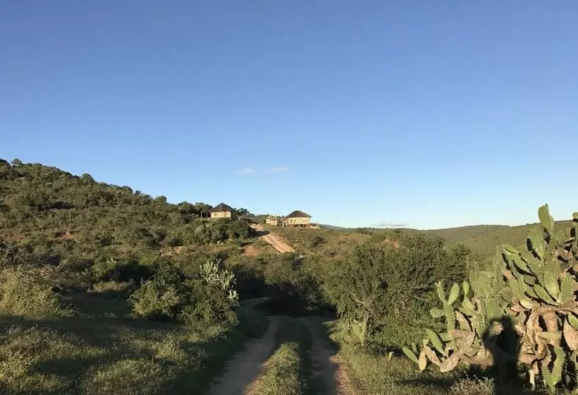 Addo Bush Palace Private Reserve