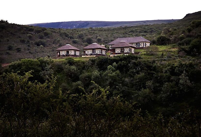 Addo Bush Palace Private Reserve