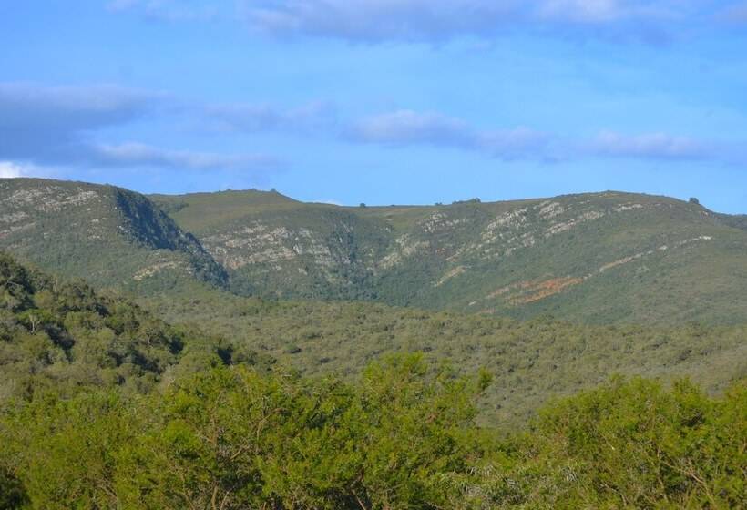 Addo Bush Palace Private Reserve