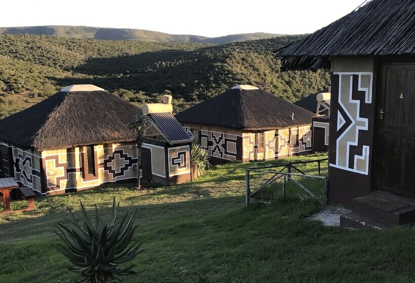 Addo Bush Palace Private Reserve