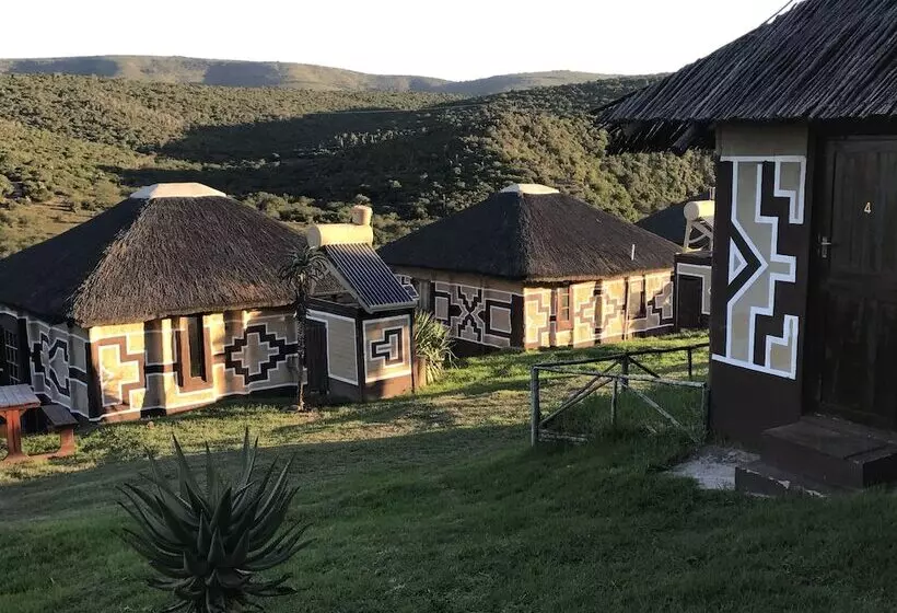 Addo Bush Palace Private Reserve
