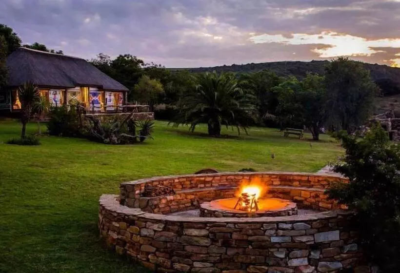 Addo Bush Palace Private Reserve