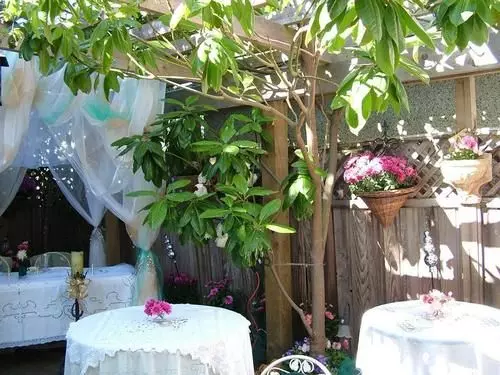 ベッドアンドブレックファースト Trutch Manor