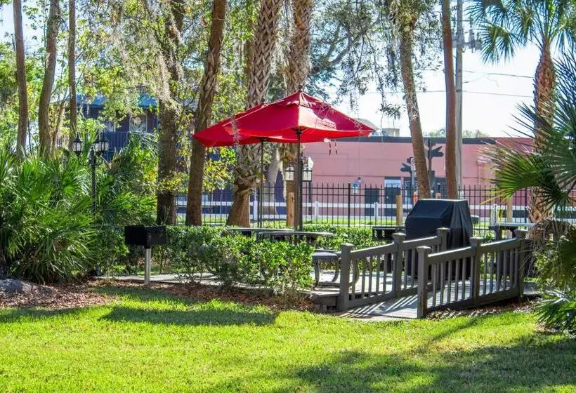 ホテル Barefoot N Resort