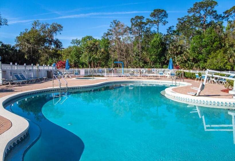 Отель Barefoot N Resort