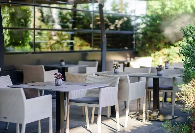 Berds Chisinau Mgallery Hotel Collection