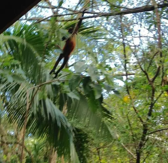 ホテル Casa Manglar Villa