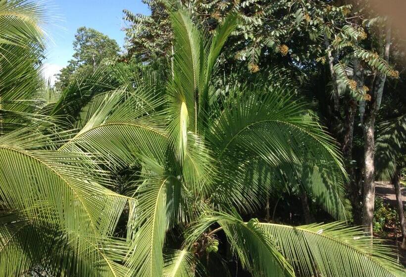 בית מלון כפרי Casa Manglar Villa