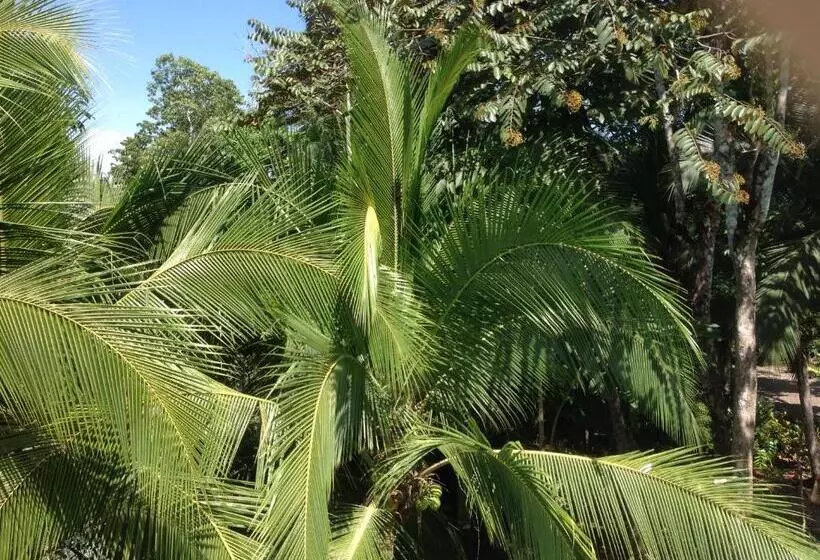 ホテル Casa Manglar Villa