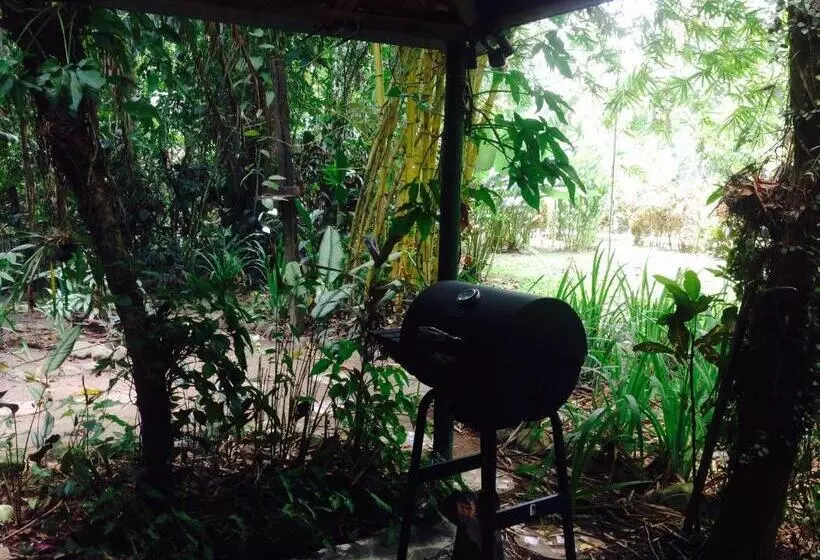 ホテル Casa Manglar Villa