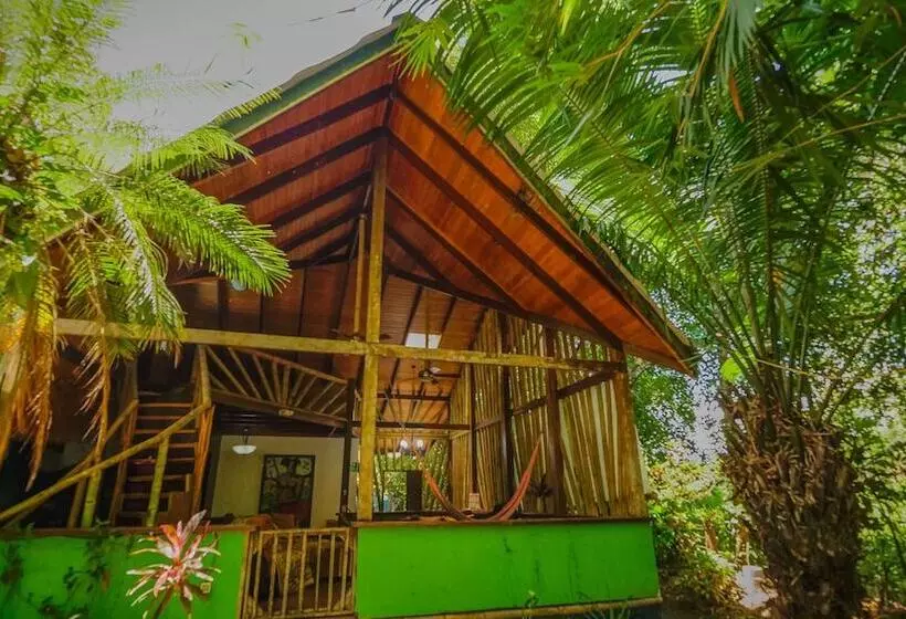 ホテル Casa Manglar Villa