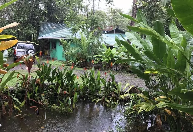 ホテル Casa Manglar Villa